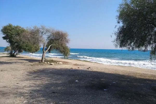 Adakoğlu Tatil Sitesi - Resim 12