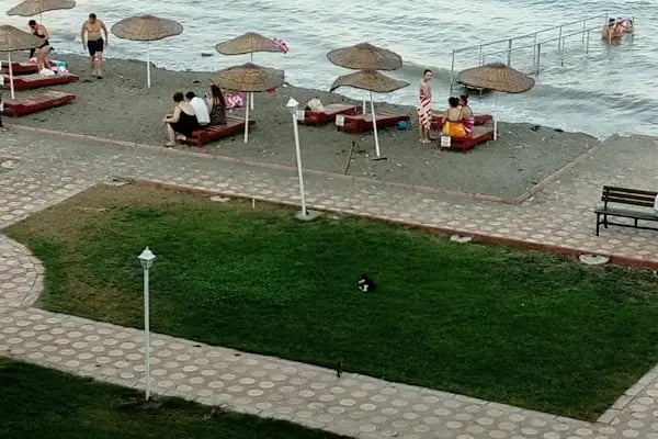 Adakoğlu Tatil Sitesi - Resim 19