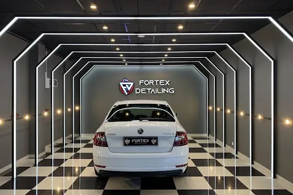 FORTEX DETAILING - Resim 3
