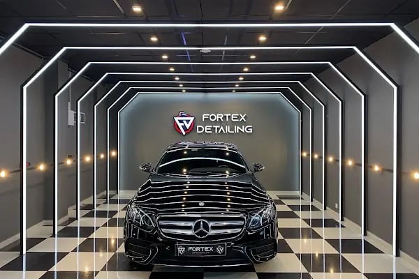 FORTEX DETAILING - Resim 20