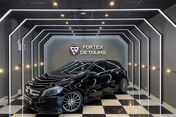 FORTEX DETAILING - Resim 19