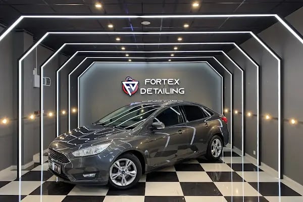 FORTEX DETAILING - Resim 17