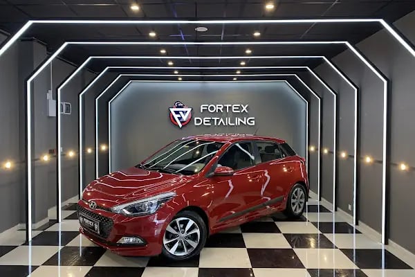 FORTEX DETAILING - Resim 11