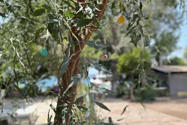 Kaya Camping - Resim 8