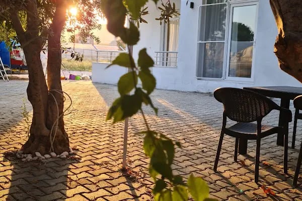 1922 Zeytin Apart - Resim 1