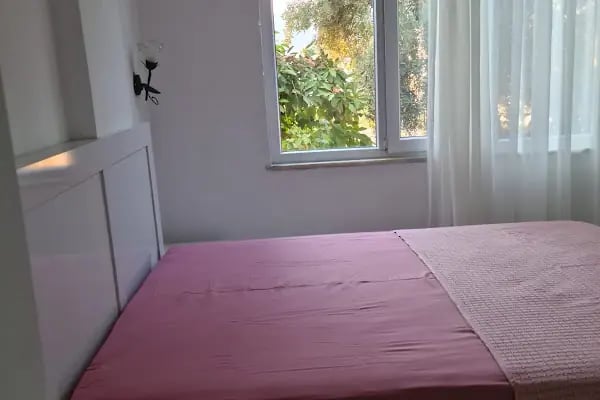 1922 Zeytin Apart - Resim 2