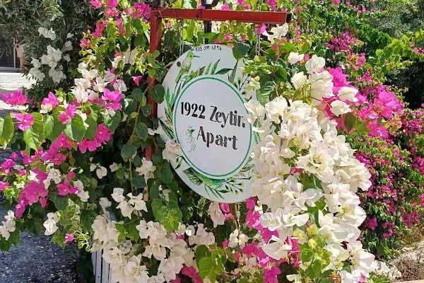 1922 Zeytin Apart - Resim 11