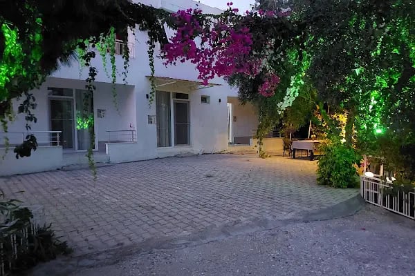 1922 Zeytin Apart - Resim 12