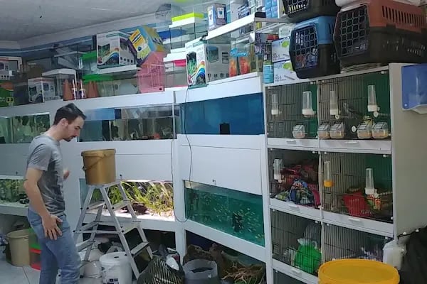 İzmit Akvaryum - Resim 11