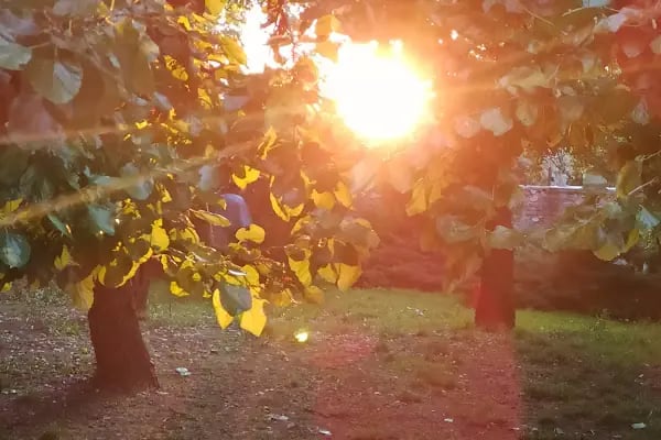 Çobanbey Türbesi - Resim 20