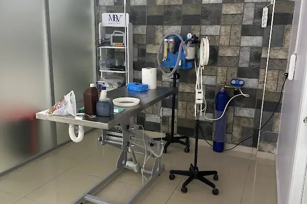Yazlık Veteriner kliniği - Resim 1