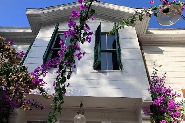 No16 Büyükada | Otel, Kahvaltı, Restaurant ve Cafe - Resim 7