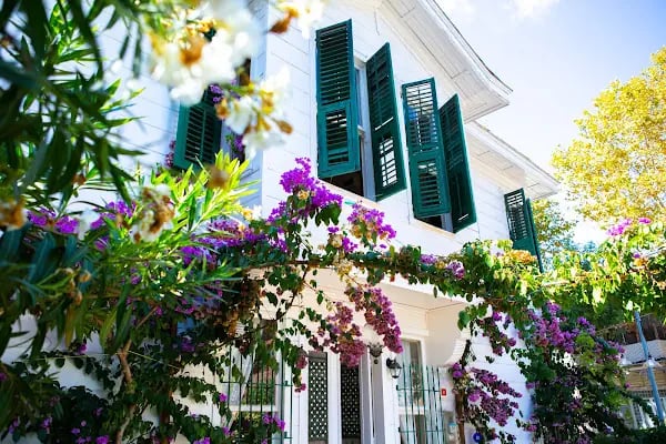 No16 Büyükada | Otel, Kahvaltı, Restaurant ve Cafe - Resim 4