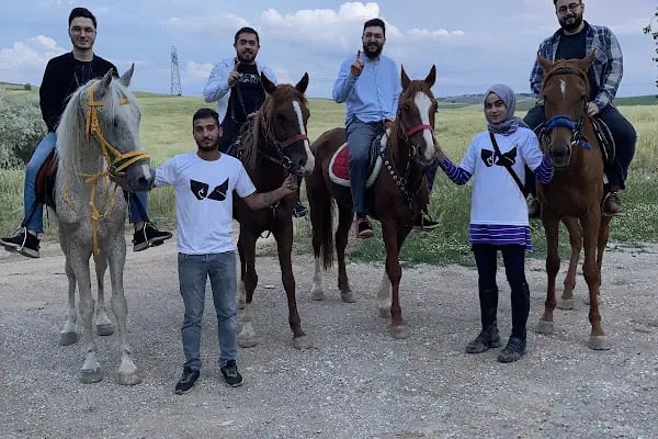 FERES BİNİCİLİK (ATLI SAFARİ TURU) - Resim 19