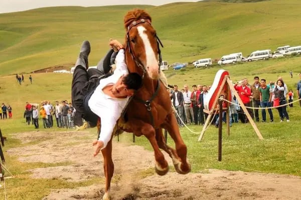 FERES BİNİCİLİK (ATLI SAFARİ TURU) - Resim 12