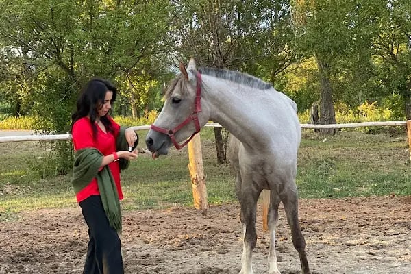 FERES BİNİCİLİK (ATLI SAFARİ TURU) - Resim 5