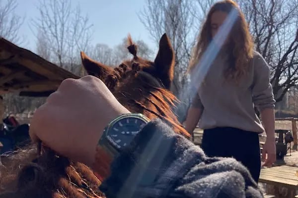 FERES BİNİCİLİK (ATLI SAFARİ TURU) - Resim 13