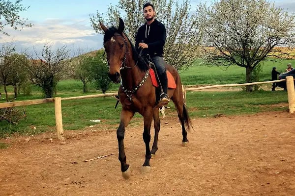 FERES BİNİCİLİK (ATLI SAFARİ TURU) - Resim 1