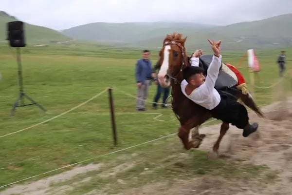 FERES BİNİCİLİK (ATLI SAFARİ TURU) - Resim 4