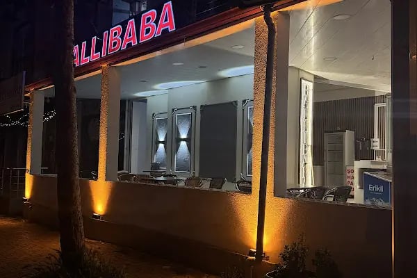Engiz Ballıbaba Dondurma - Resim 6