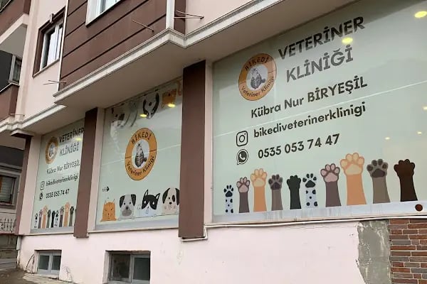 Trabzon Bikedi Veteriner Kliniği - Resim 11