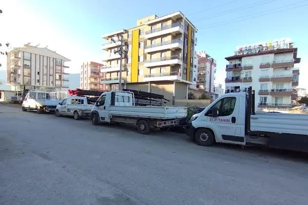 Elif Tarım - Resim 2