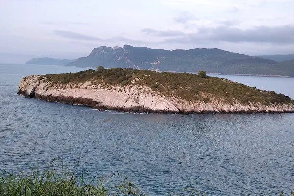 Serdivan Tepe Dağ Bisikleti Parkuru - Resim 15