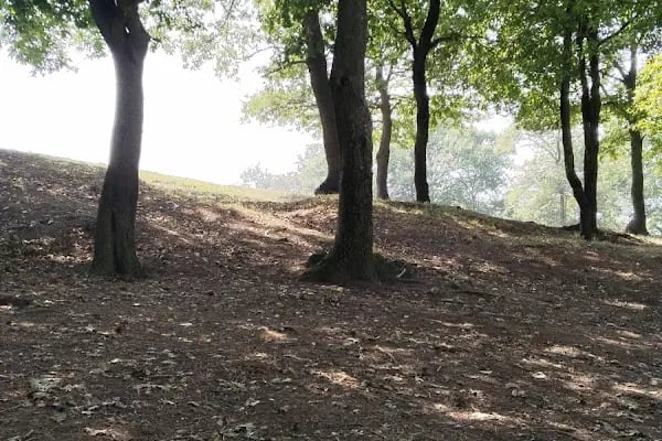 Serdivan Tepe Dağ Bisikleti Parkuru - Resim 8