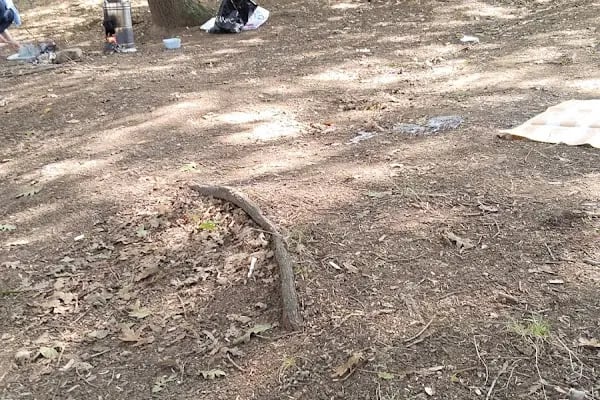 Serdivan Tepe Dağ Bisikleti Parkuru - Resim 17