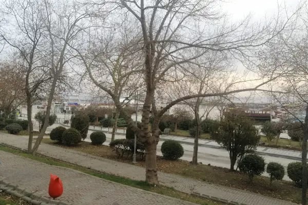 Şht. Asteğmen Mustafa Burcu Parkı - Resim 6