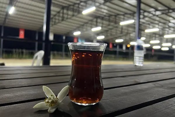 MERSİN BİNİCİLİK - Resim 10