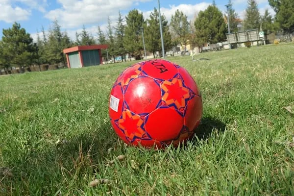 Esenboğa Parkı - Resim 12