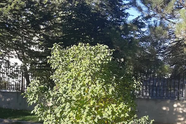 Esenboğa Parkı - Resim 16