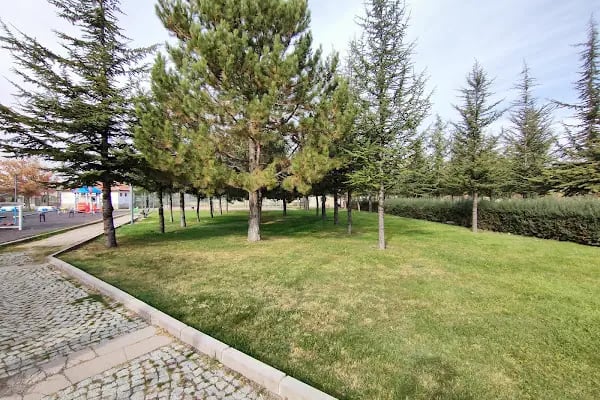 Esenboğa Parkı - Resim 3