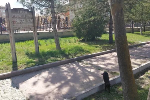 Esenboğa Parkı - Resim 10