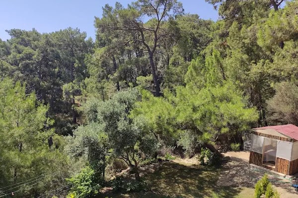 24 Butik Otel Sarıgerme - Resim 19