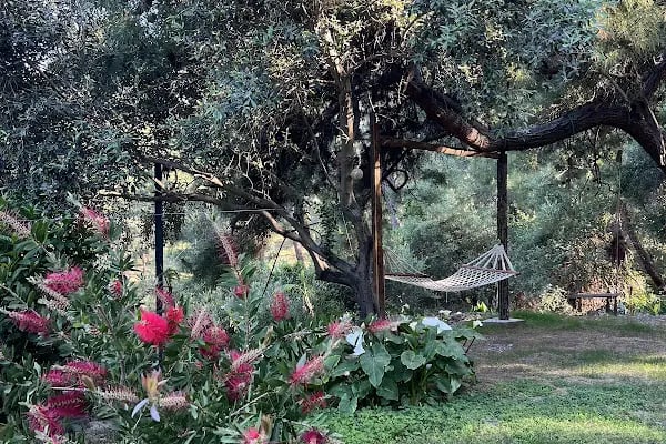 24 Butik Otel Sarıgerme - Resim 9
