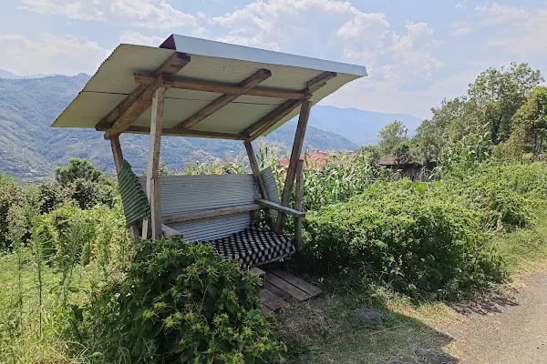 Acısu Solucan - Resim 3