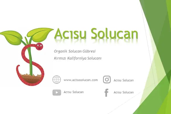 Acısu Solucan - Resim 10