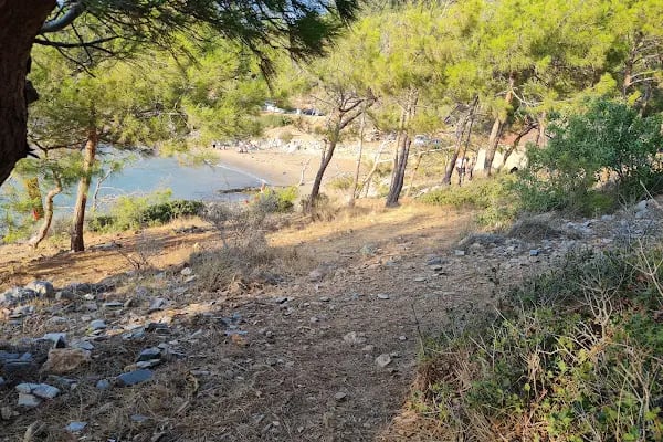 Aydıncık Tabiat Parkı - Resim 8