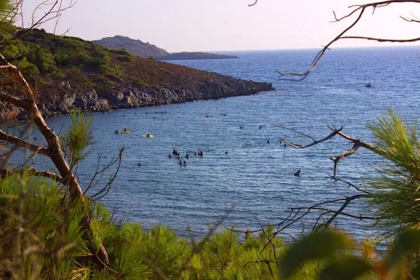 Aydıncık Tabiat Parkı - Resim 13
