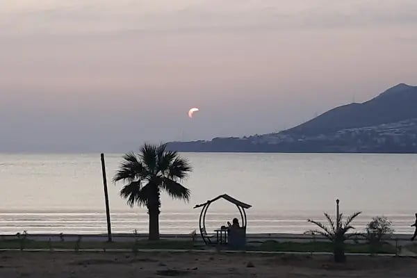 Aydıncık Tabiat Parkı - Resim 7
