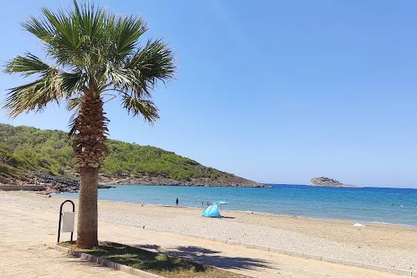 Aydıncık Tabiat Parkı - Resim 19