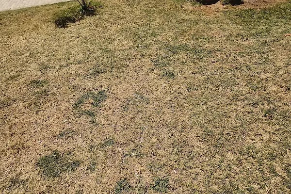 Aydıncık Tabiat Parkı - Resim 20