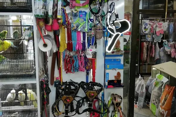 Ankara Pet Shop Akvaryum &amp; Evcil Hayvan Ürünleri - Resim 3