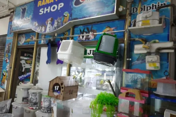 Ankara Pet Shop Akvaryum &amp; Evcil Hayvan Ürünleri - Resim 11