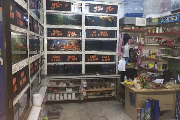 Ankara Pet Shop Akvaryum &amp; Evcil Hayvan Ürünleri - Resim 8