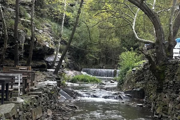 Çam Evleri Restoran - Resim 5