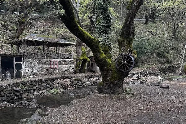 Çam Evleri Restoran - Resim 6