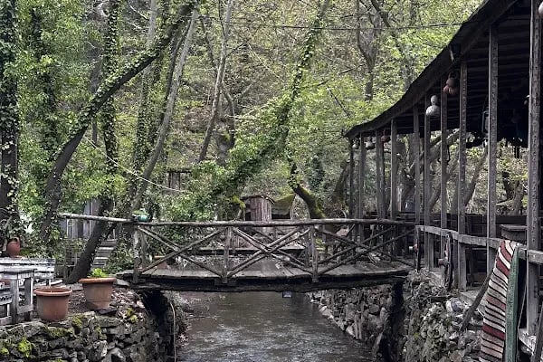 Çam Evleri Restoran - Resim 4
